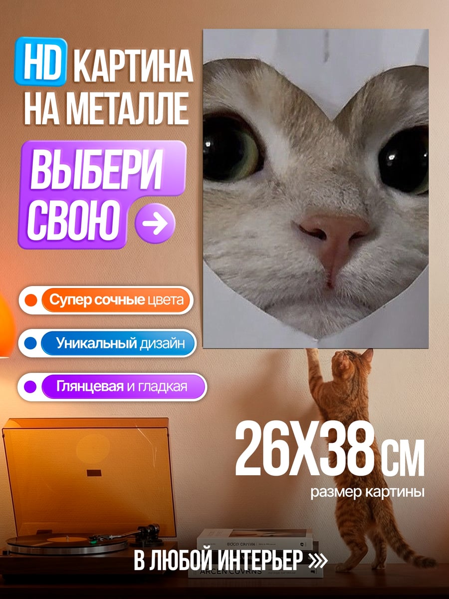 Картина на металле Кот в форме сердца