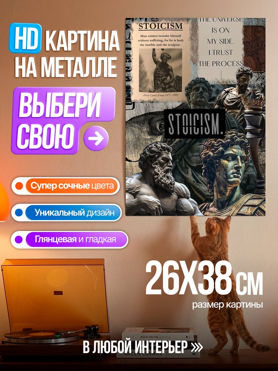 Картина на металле стоицизм философия