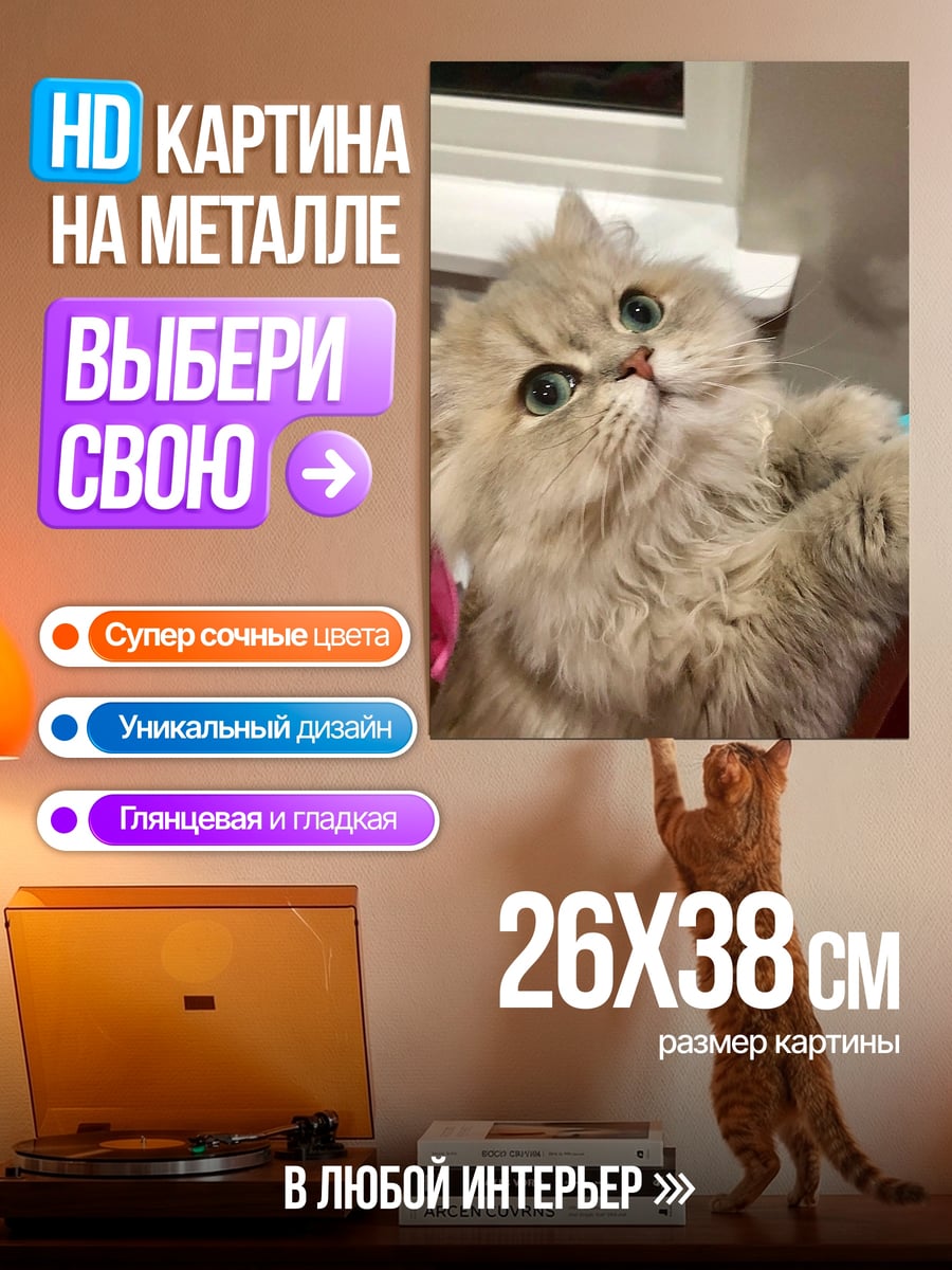 Картина на металле Пушистый кот
