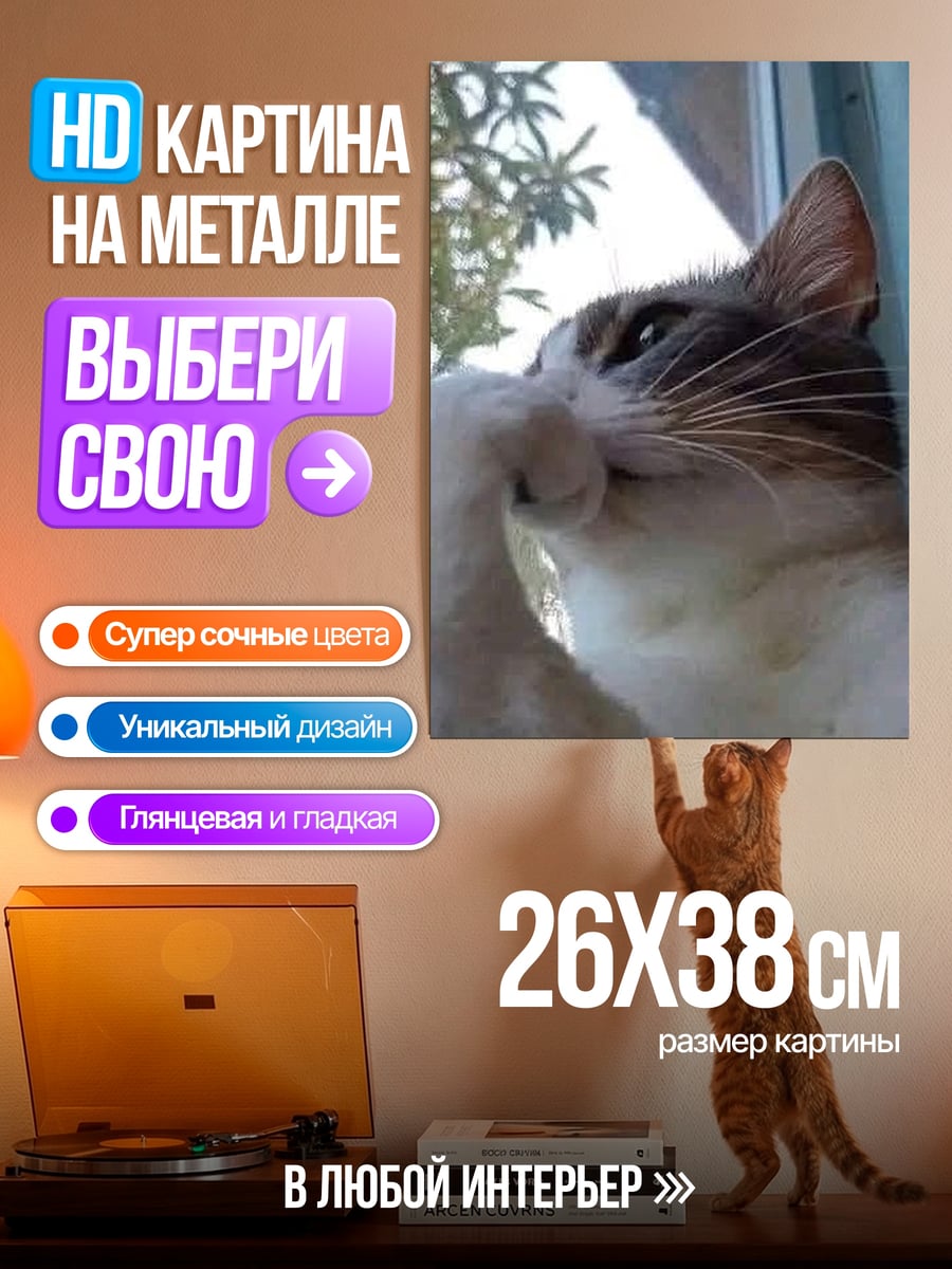 Картина на металле кот смотрит в окно