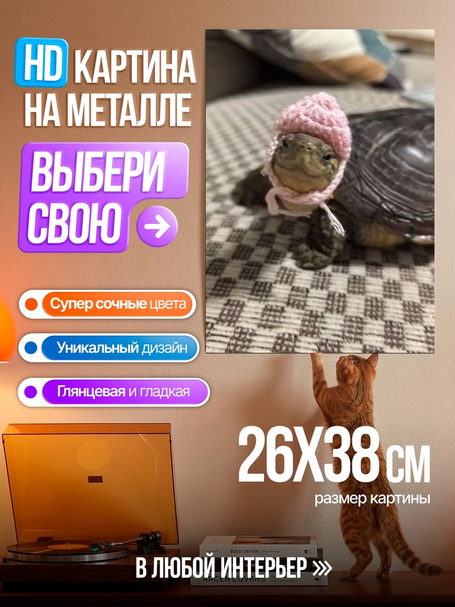 Картина на металле Черепашка в шапке