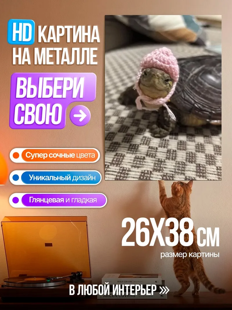 Картина на металле Черепашка в шапке