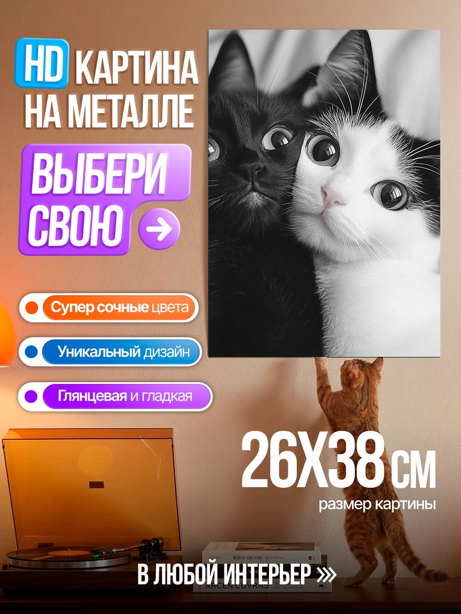 Картина на металле Черно-белые коты