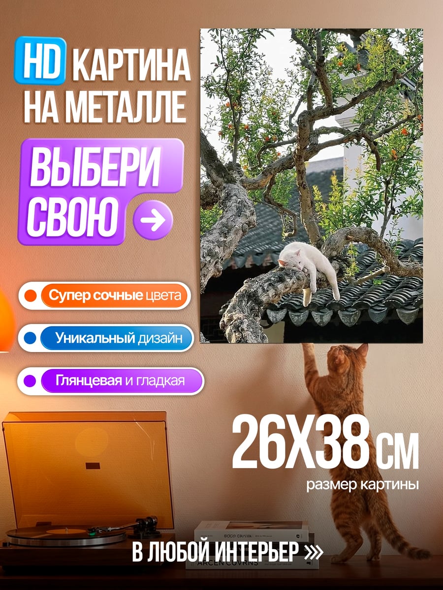 Картина на металле Кот на крыше