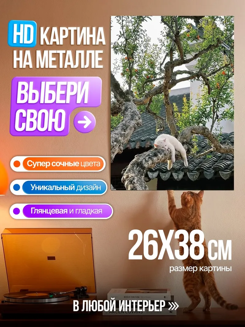 Картина на металле Кот на крыше