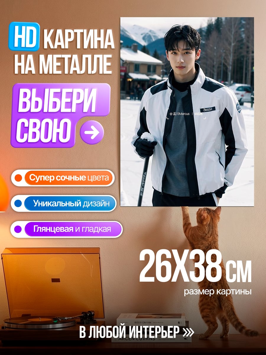 Картина на металле Ча Ыну в снегу