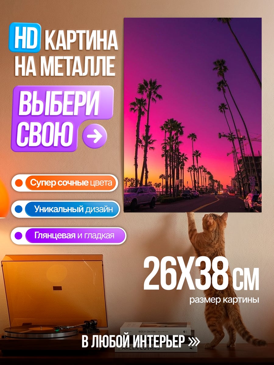Картина на металле Закат в Калифорнии