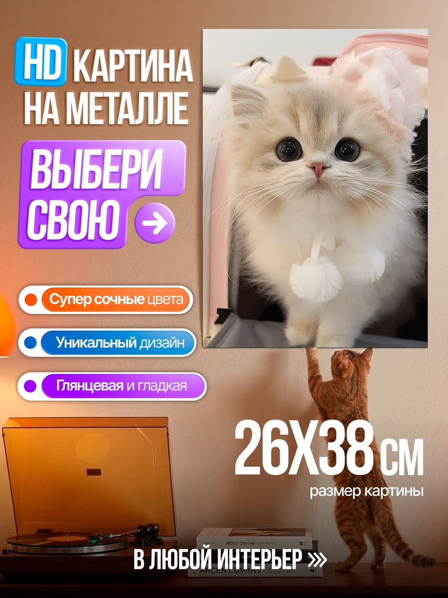 Картина на металле Пушистый белый котенок