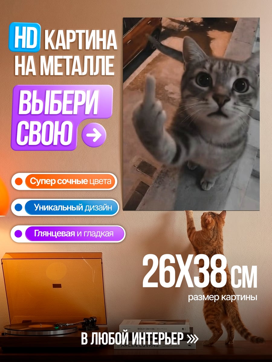 Картина на металле Кот показывает средний палец