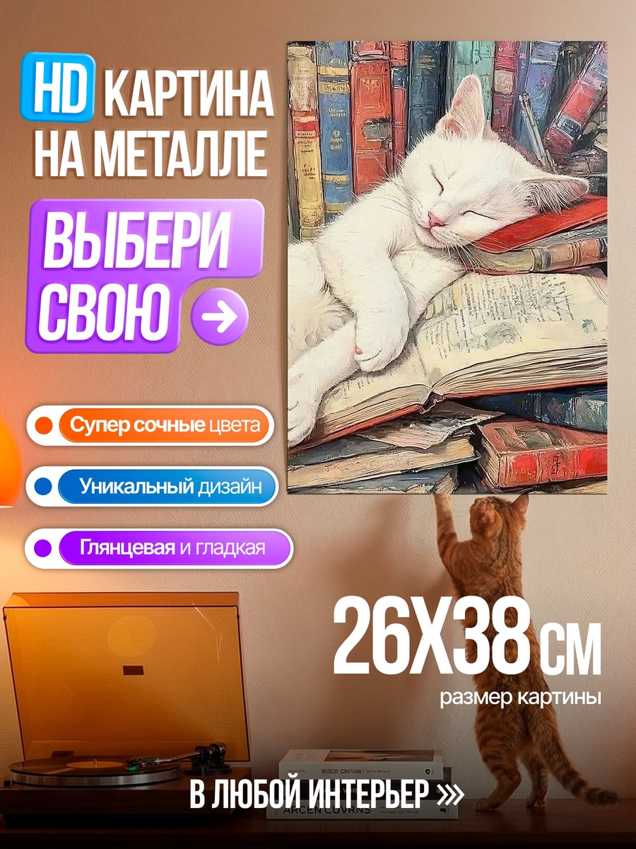 Картина на металле Белый кот спит на книгах