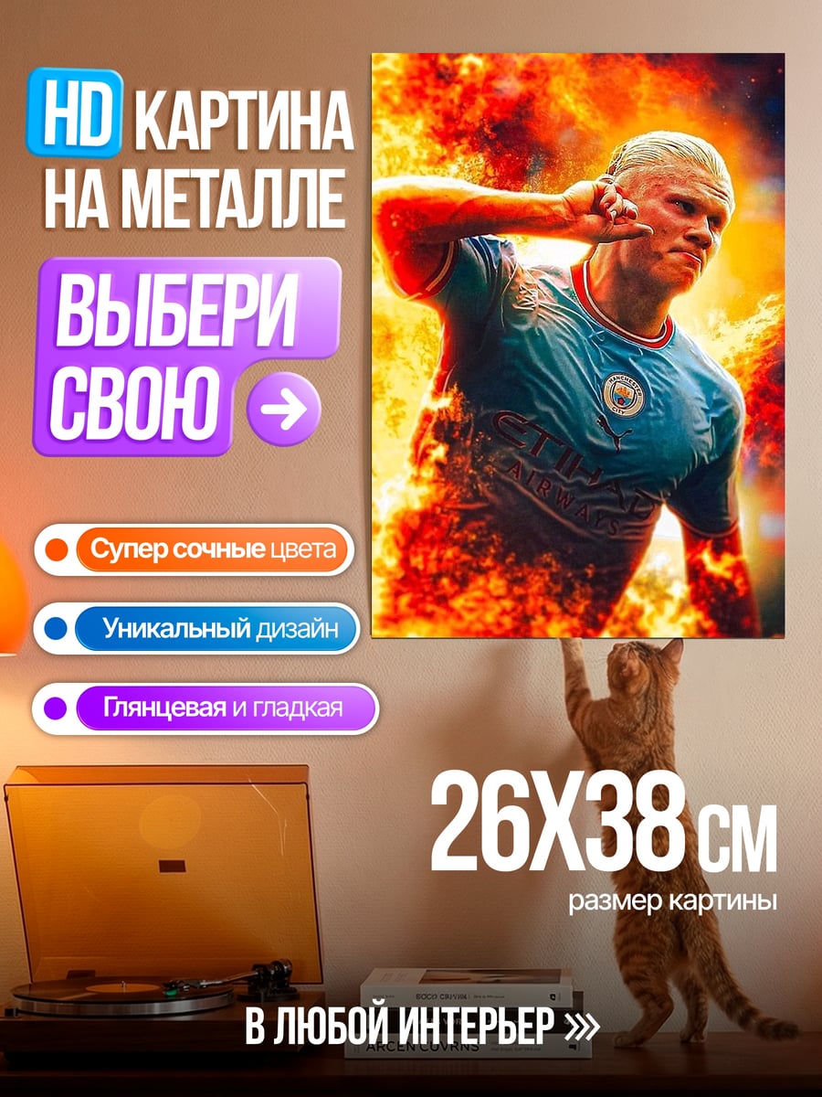 Картина на металле Эрлинг Холанд в огне
