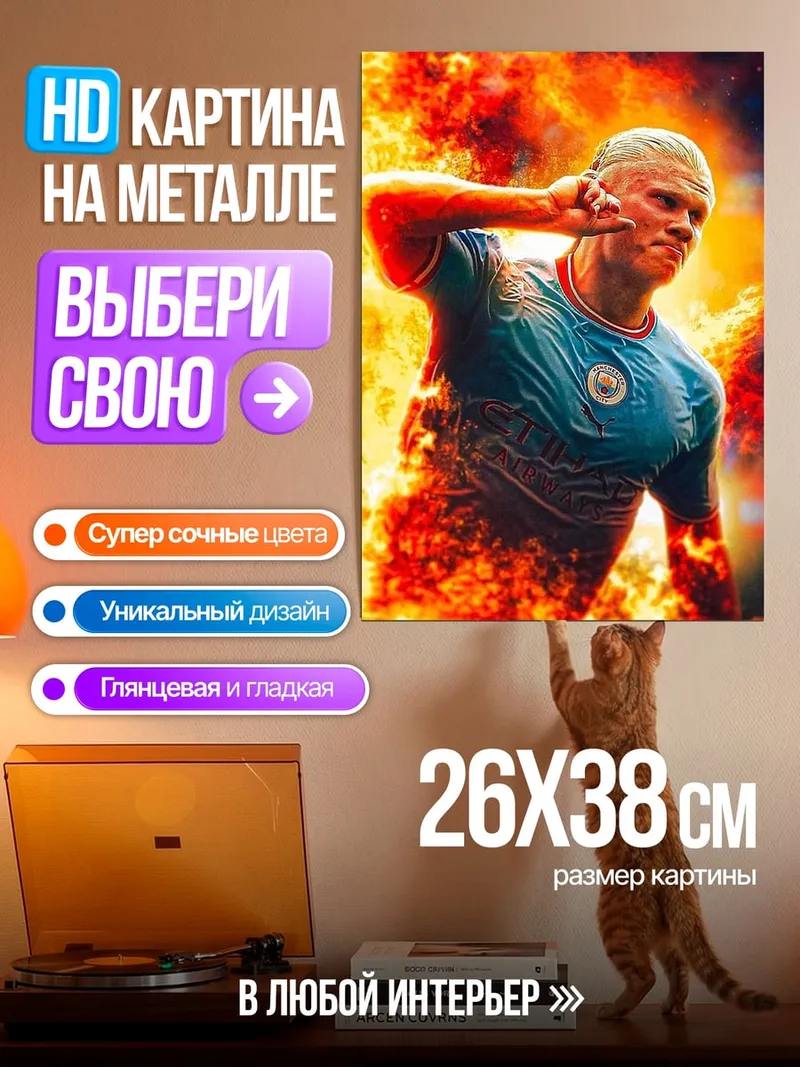 Картина на металле Эрлинг Холанд в огне
