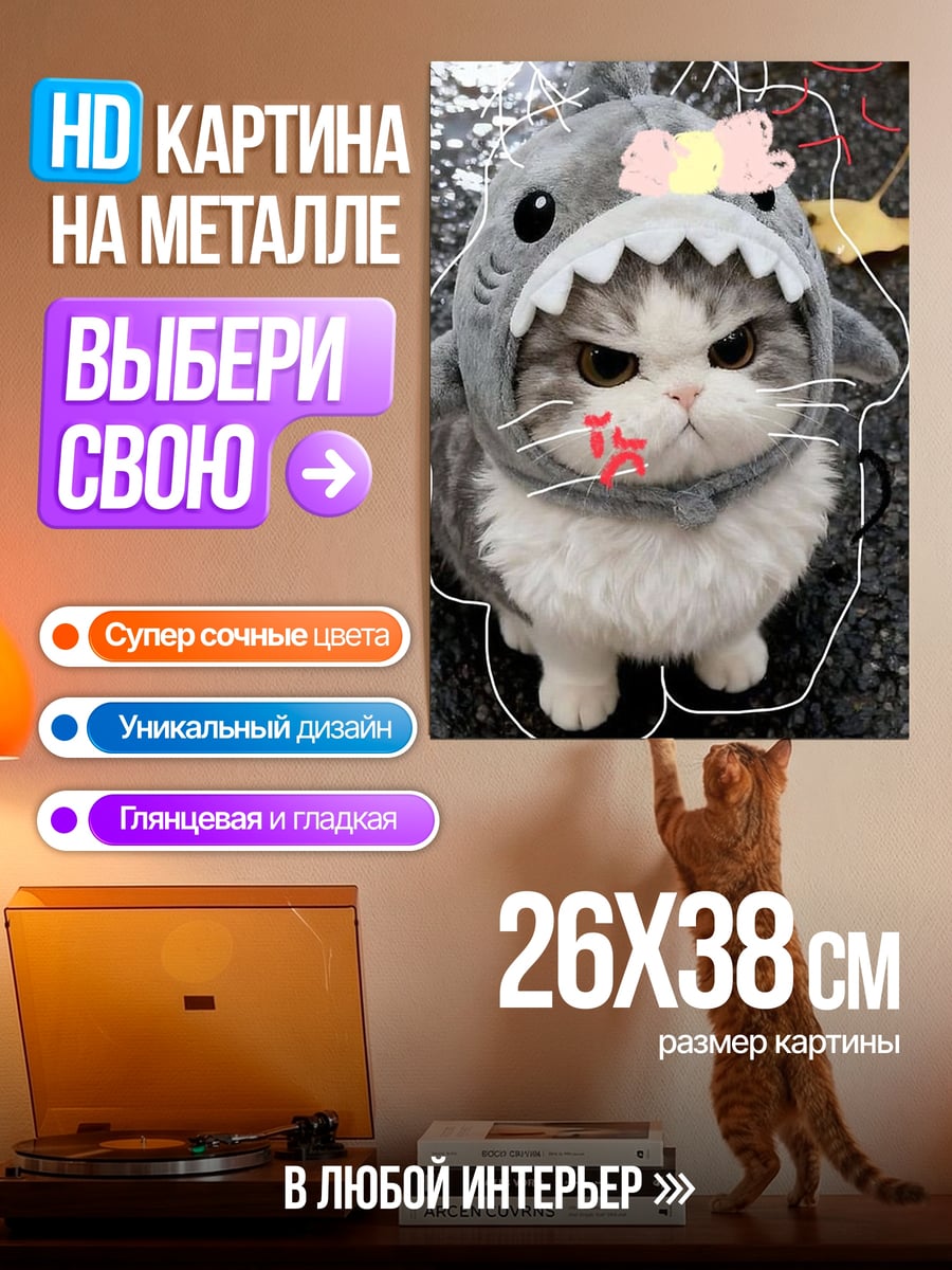 Картина на металле Кот в акуле