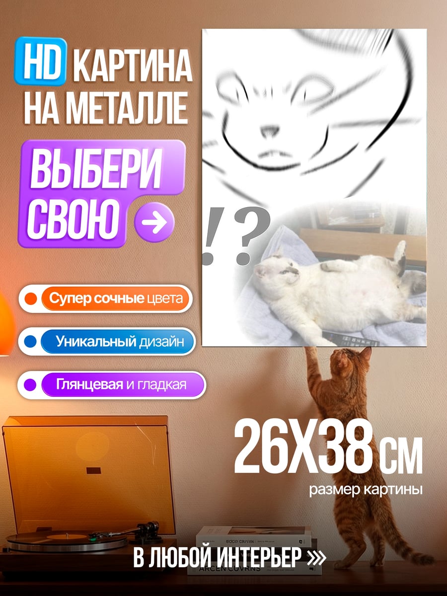 Картина на металле Мем кот