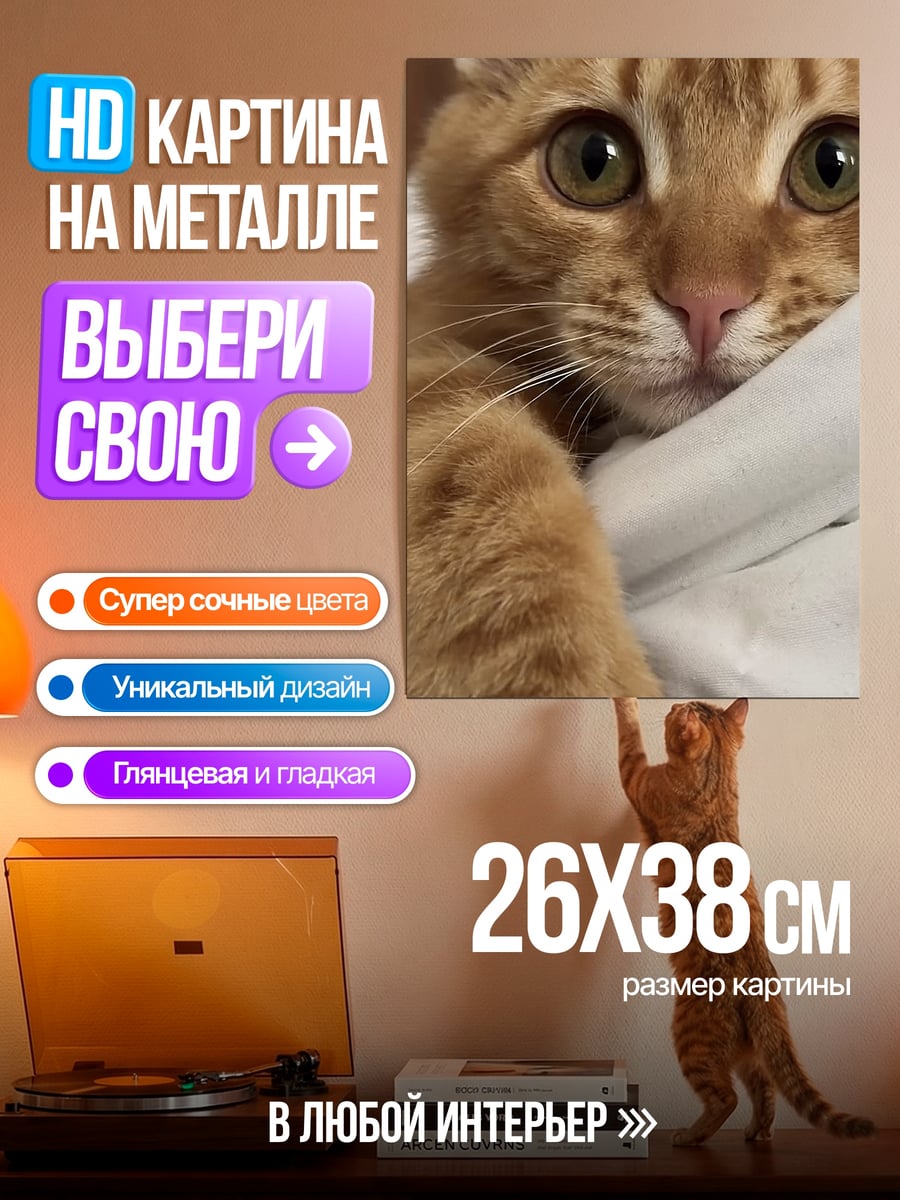 Картина на металле Рыжий кот смотрит