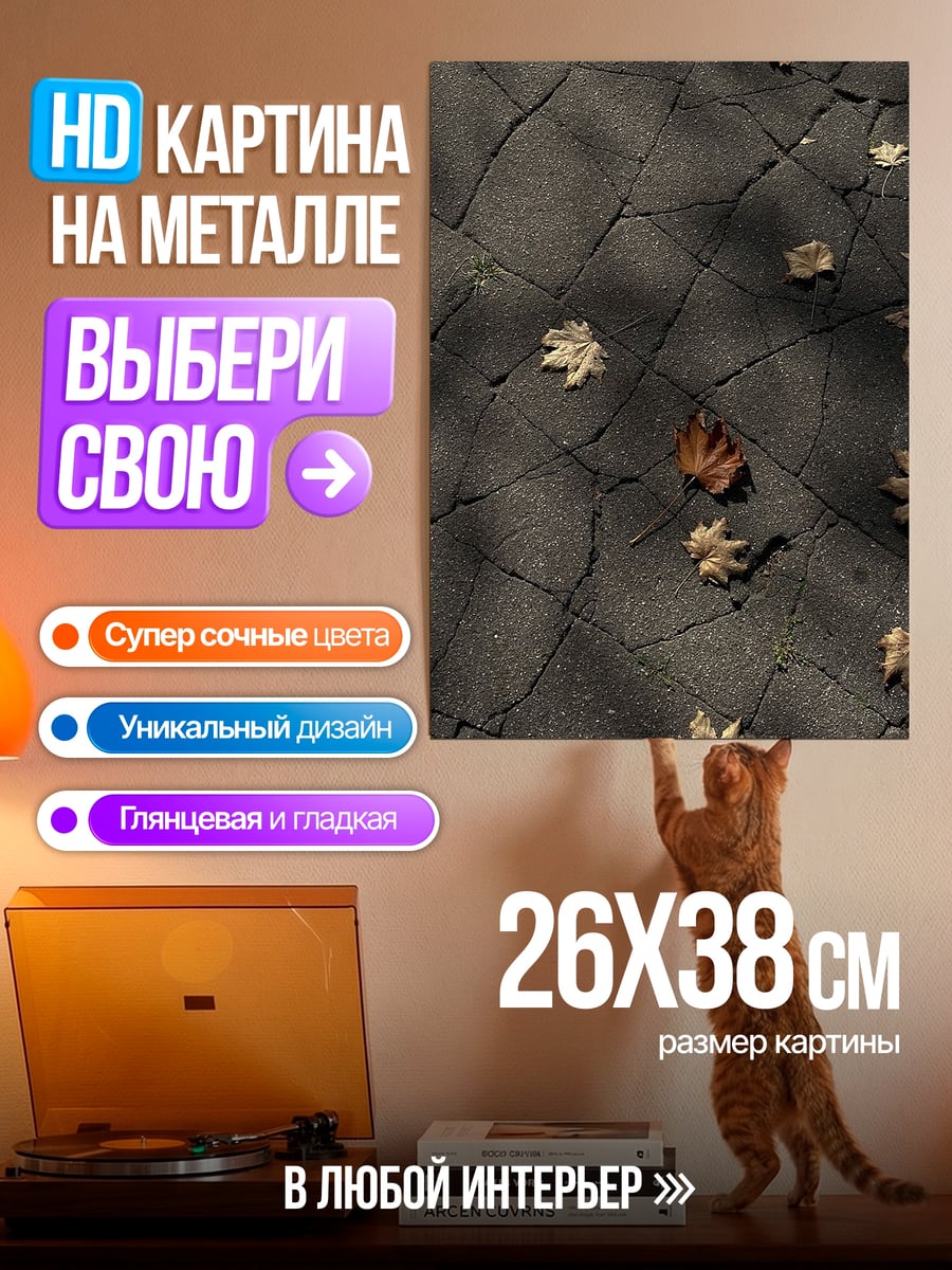 Картина на металле Осенние листья на брусчатке