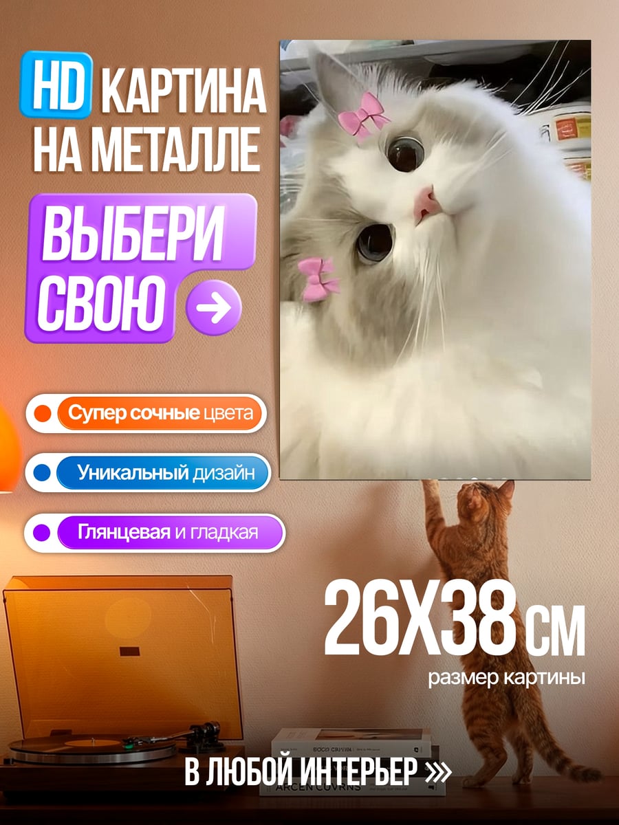 Картина на металле Пушистый кот с бантиками