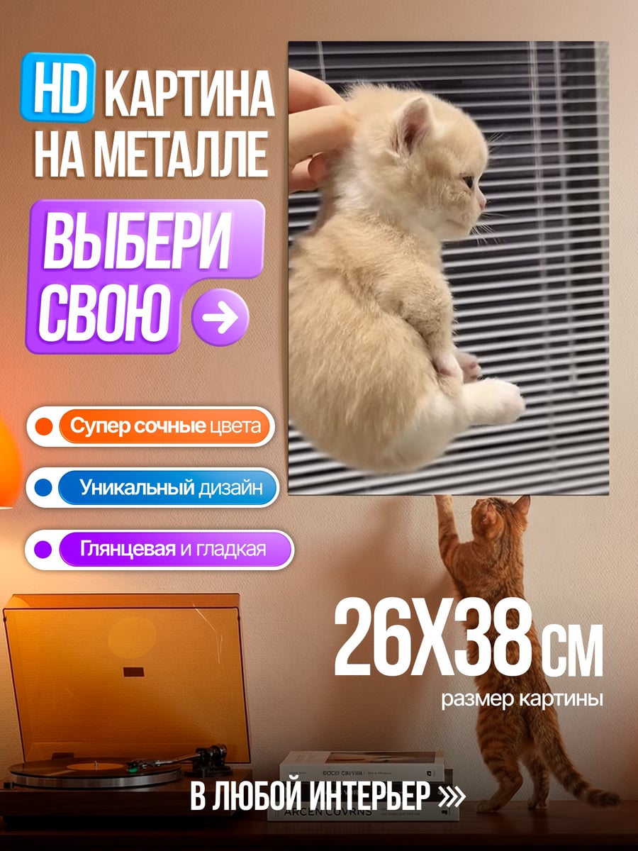Картина на металле Маленький котенок на руках