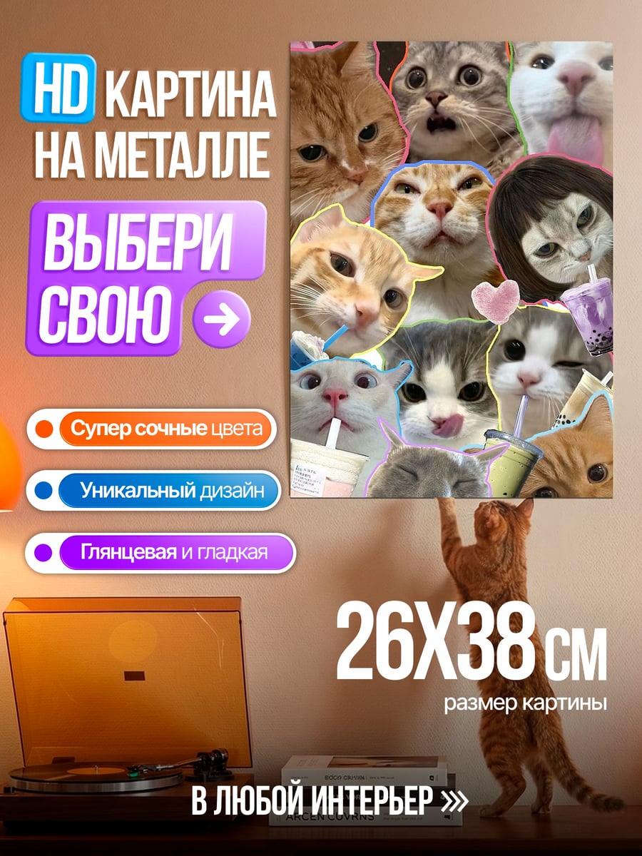 Картина на металле Мемные коты