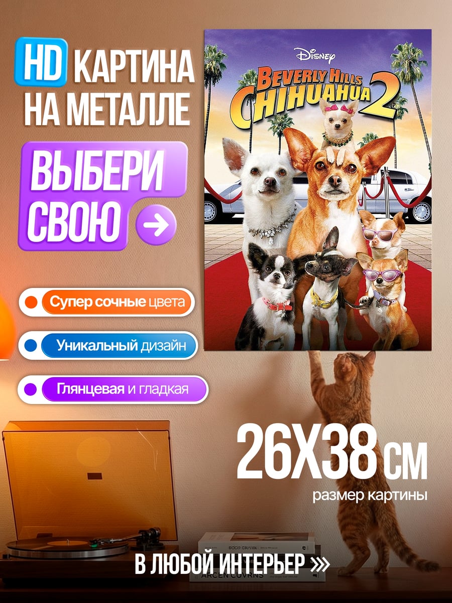 Картина на металле Чихуахуа на красной дорожке