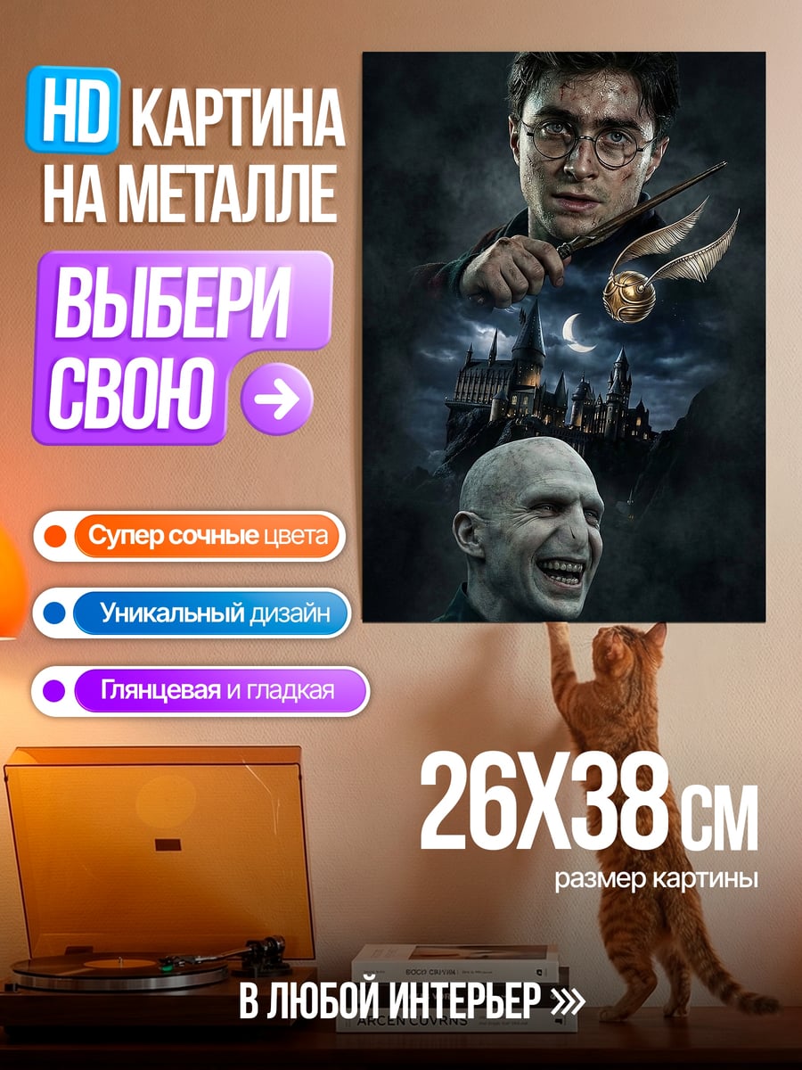 Картина на металле Гарри Поттер Воландеморт