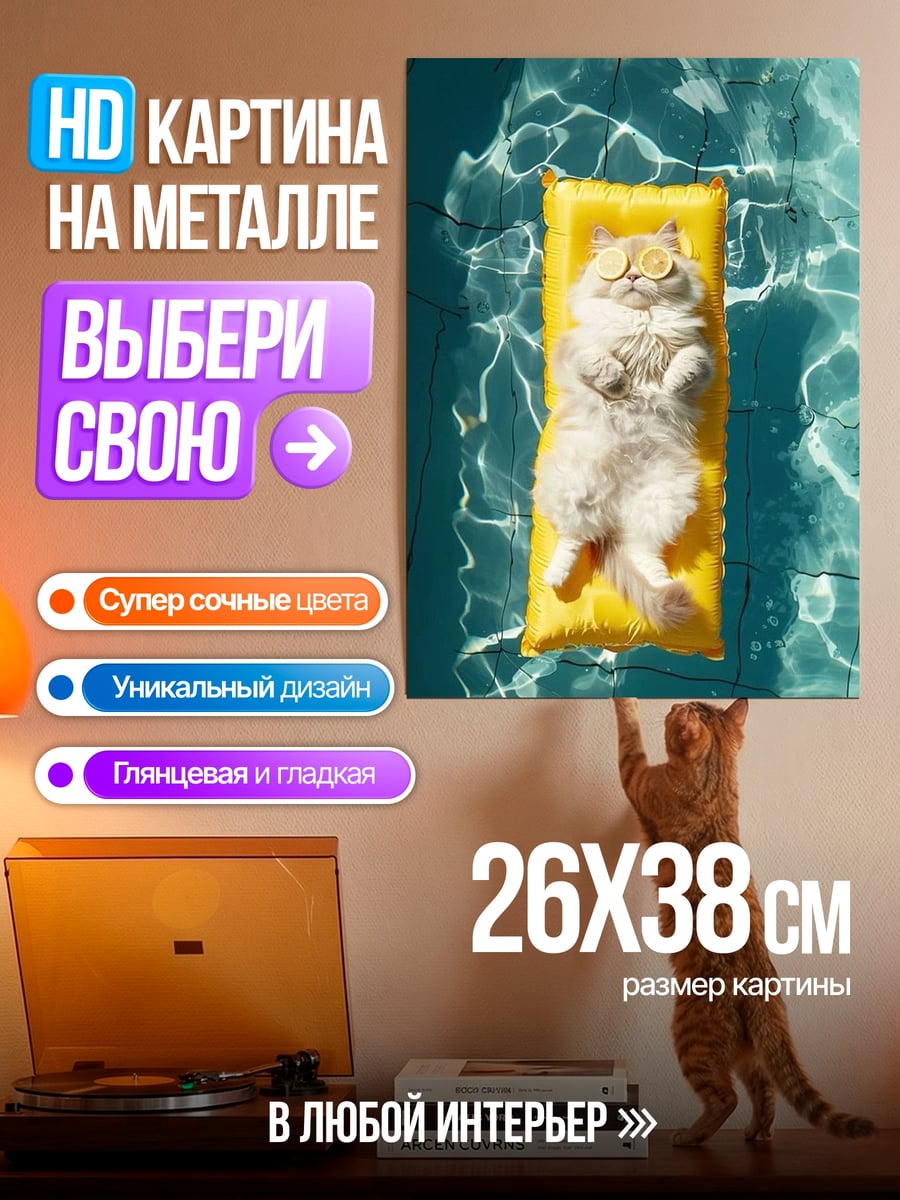 Картина на металле Кот на матрасе