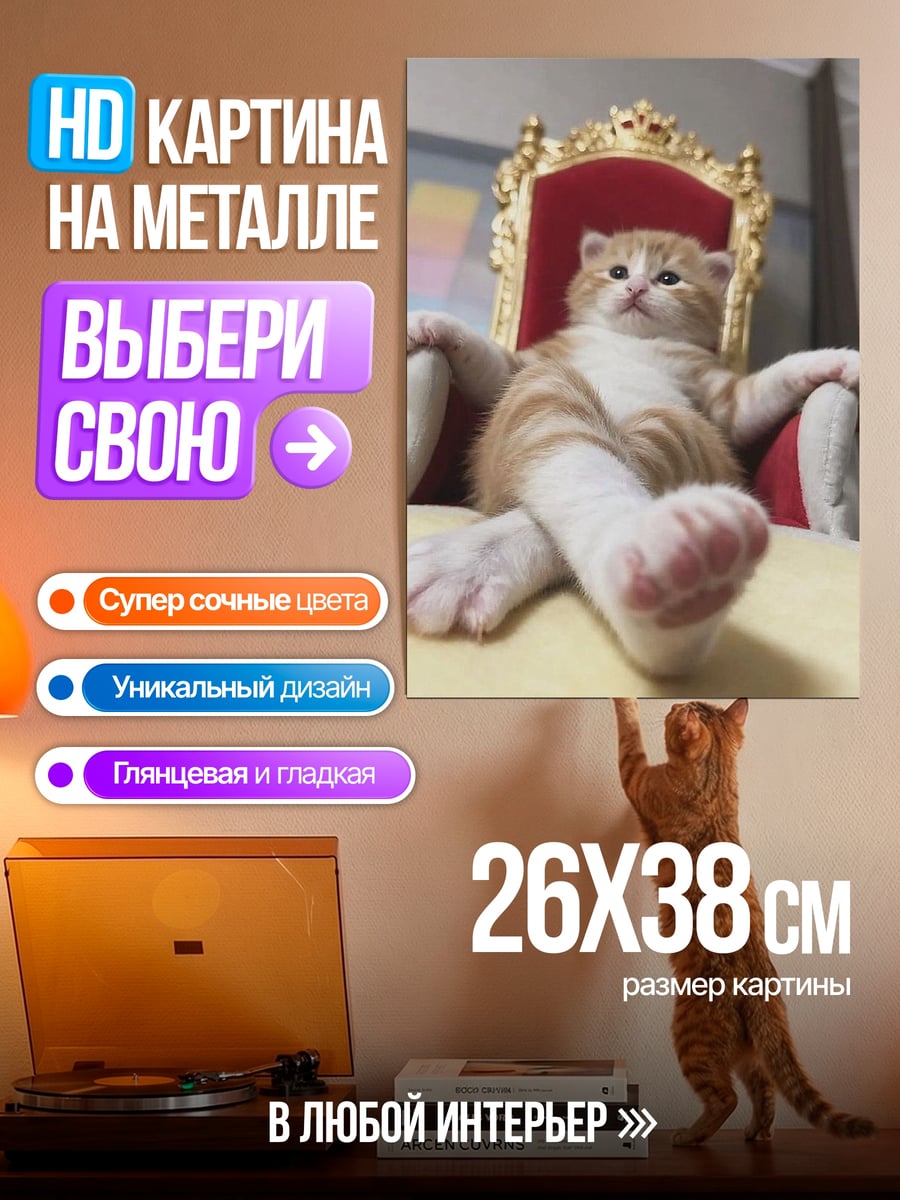 Картина на металле Кот на троне