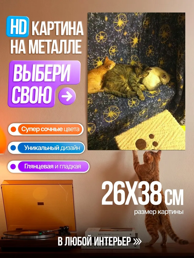 Картина на металле Два кота спят