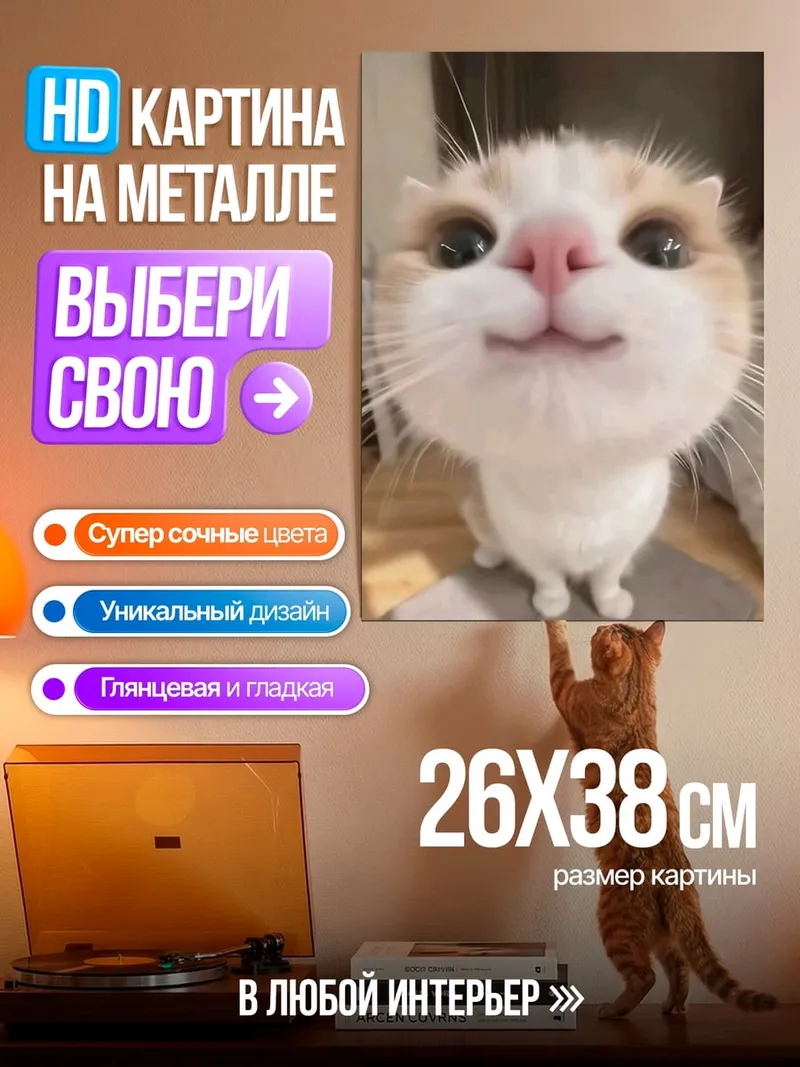 Картина на металле Кот крупным планом