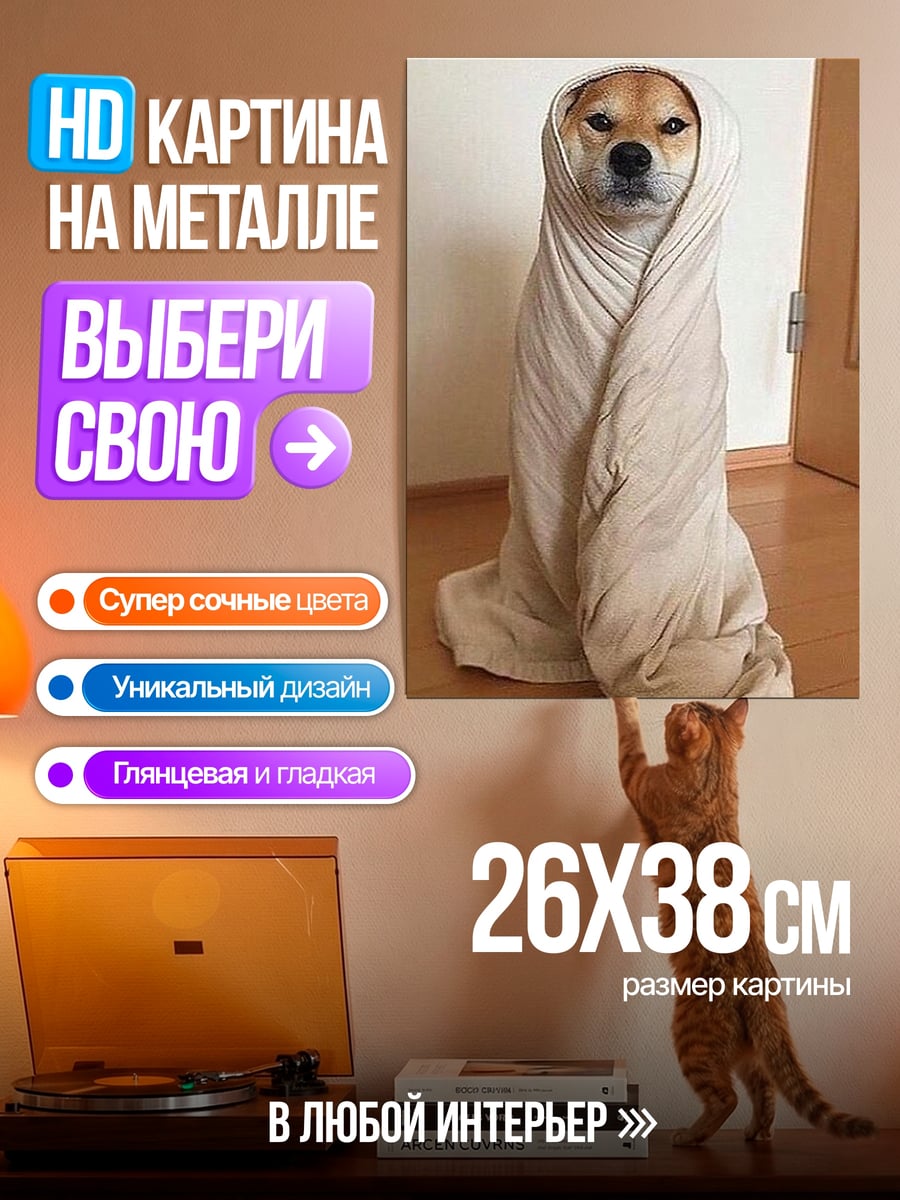 Картина на металле Собака в одеяле