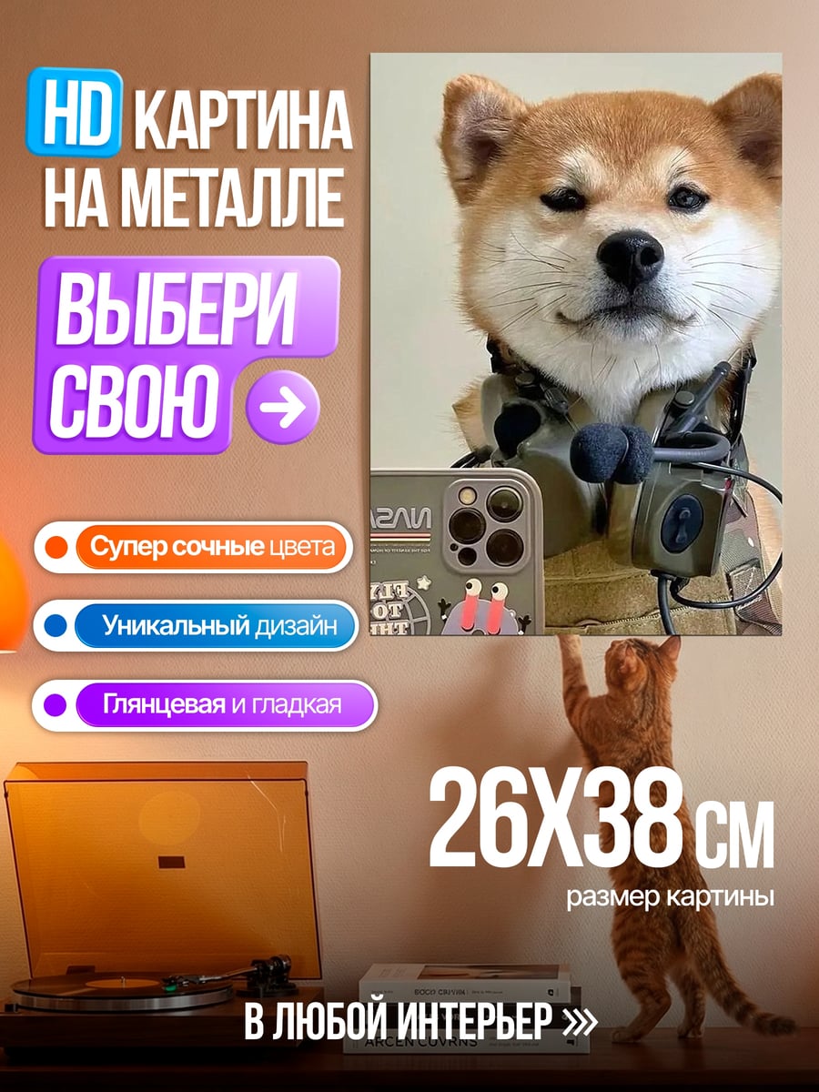 Картина на металле Шиба ину в броне