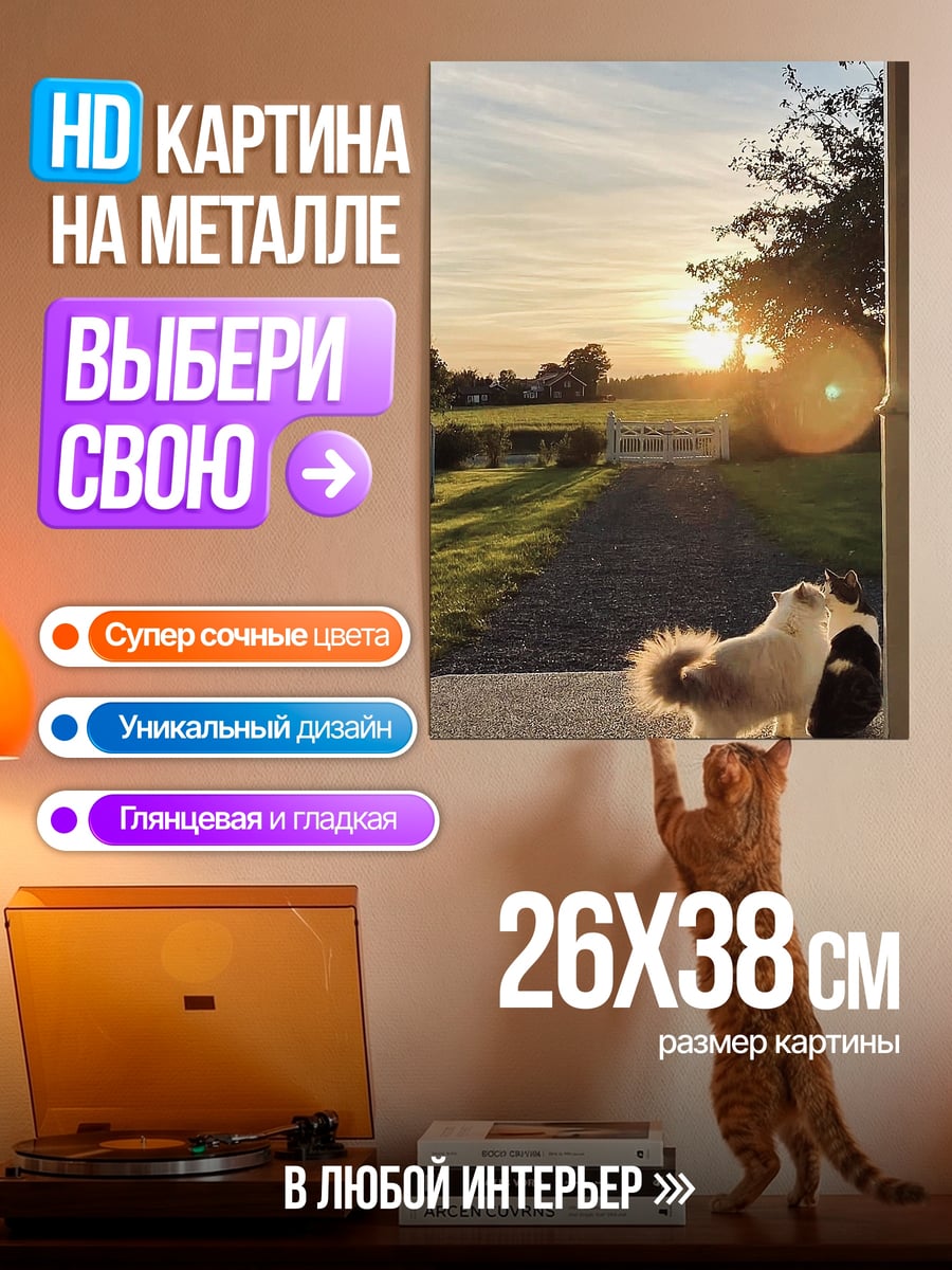Картина на металле Кот на закате