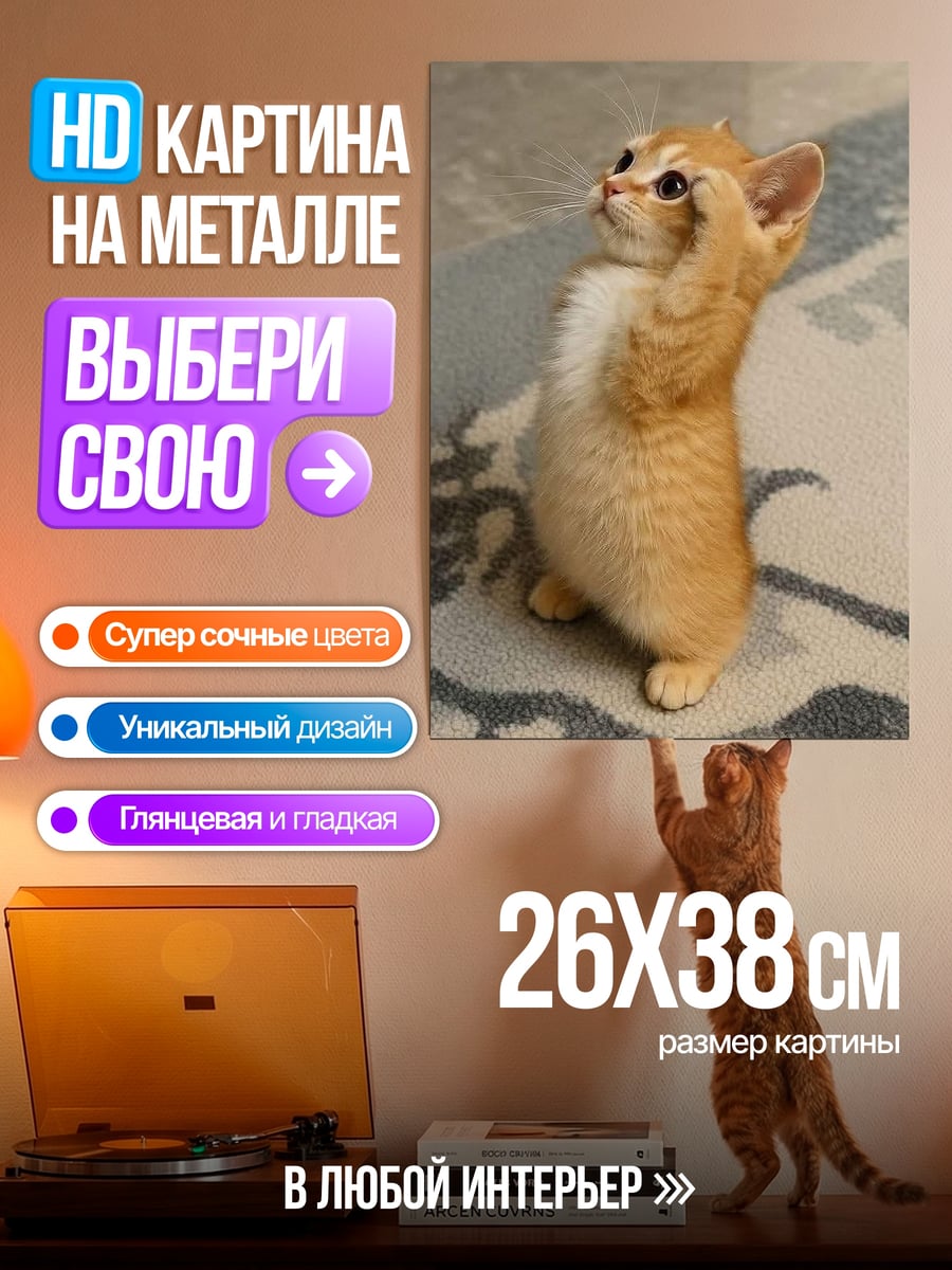 Картина на металле Рыжий котенок смотрит вверх
