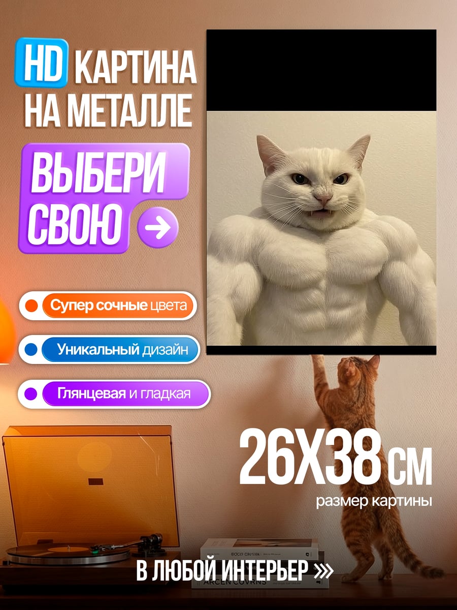 Картина на металле Мускулистый белый кот