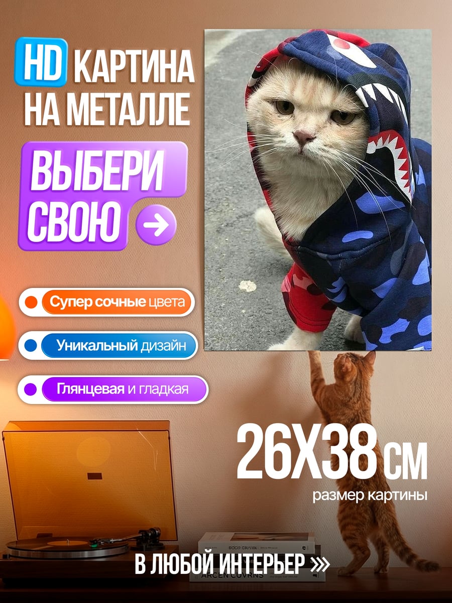 Картина на металле Кот в худи