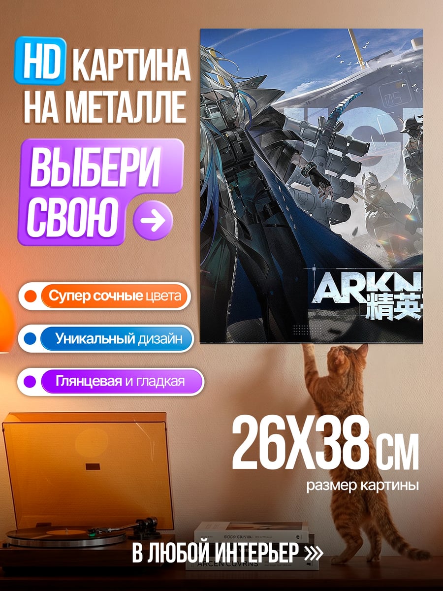 Картина на металле Кошка на скейте