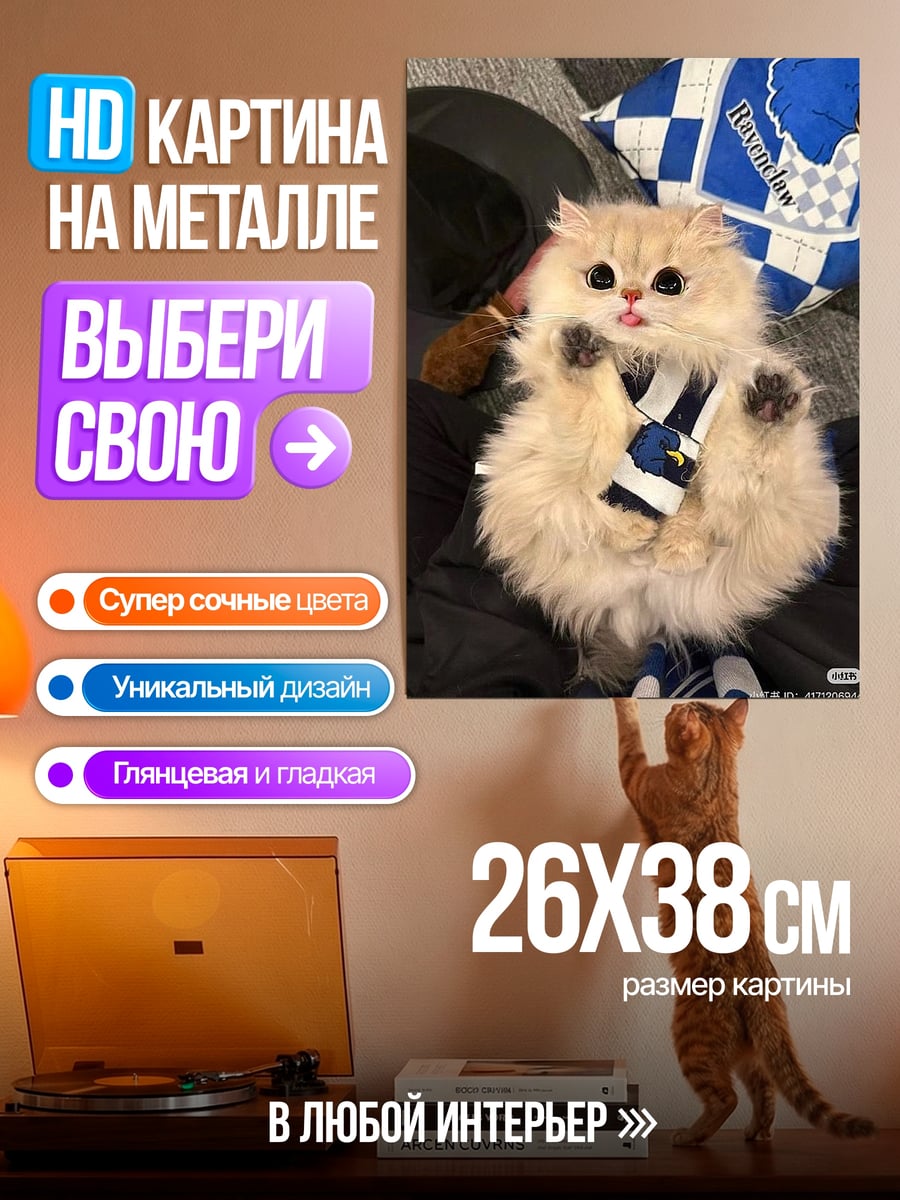 Картина на металле Пушистый кот в костюме
