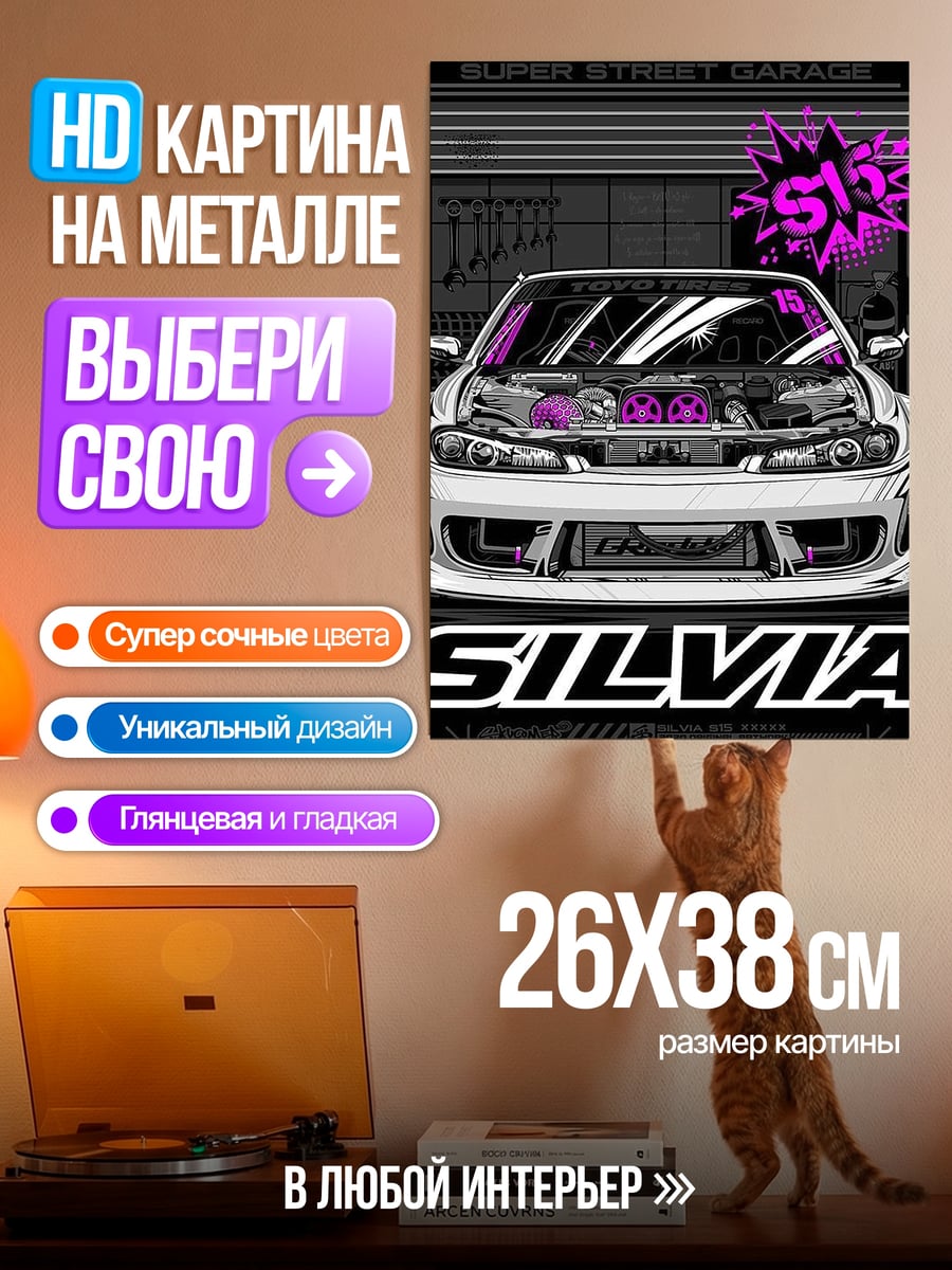 Картина на металле Сильвия тюнинг авто