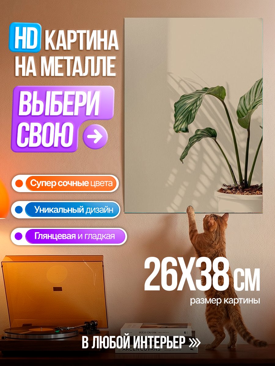 Картина на металле Комнатное растение в тени