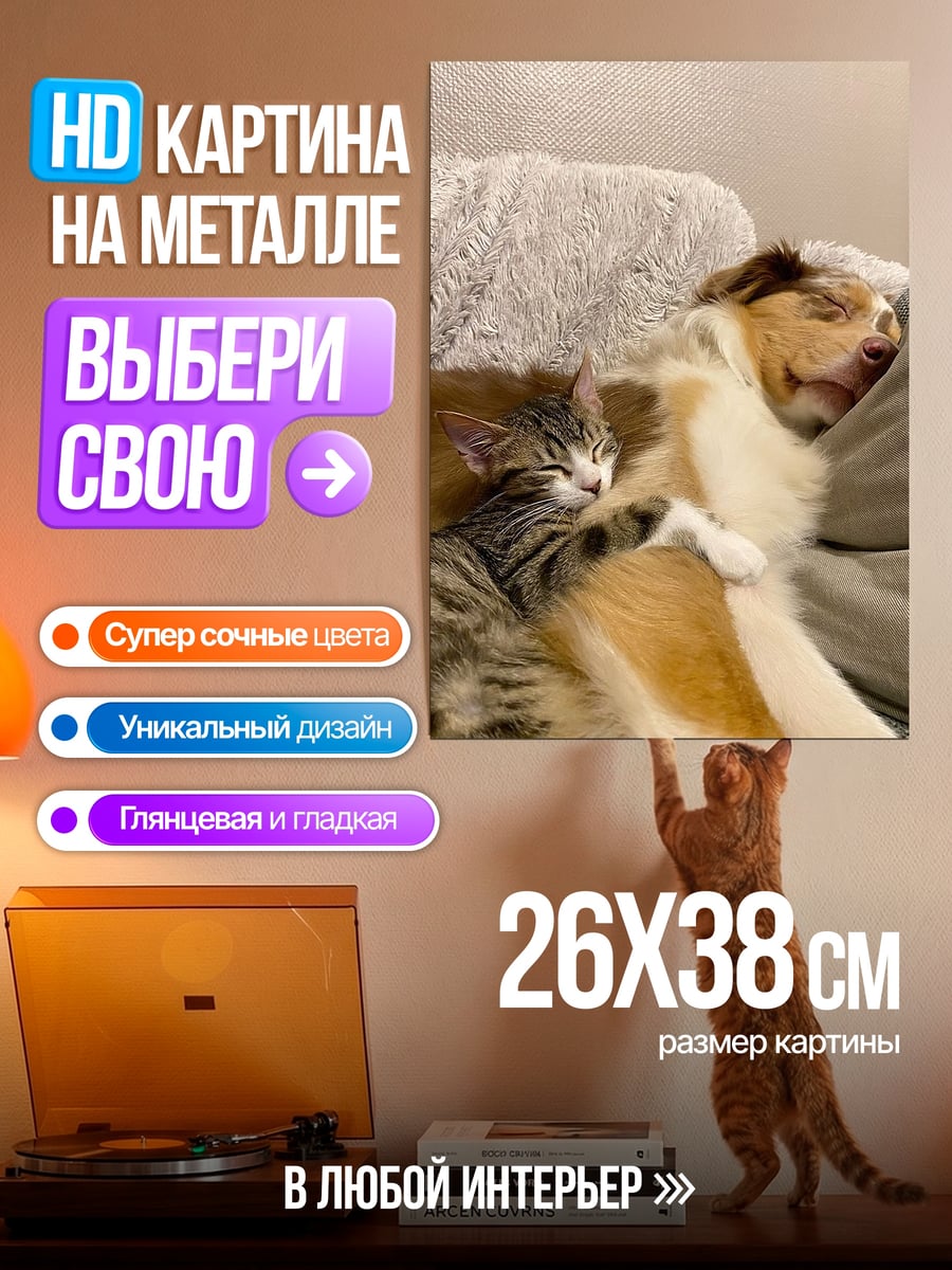 Картина на металле Кот и собака спят