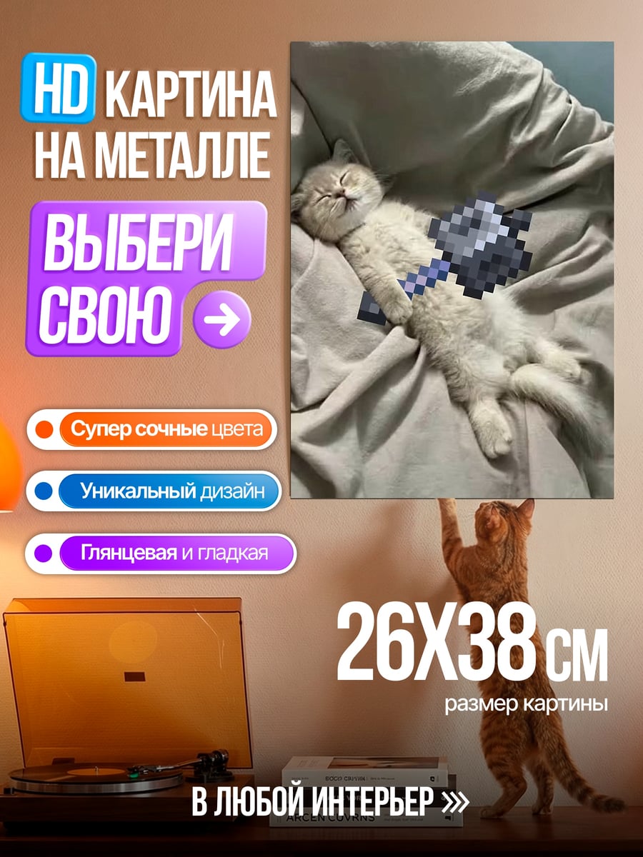 Картина на металле Спящий кот в шортах