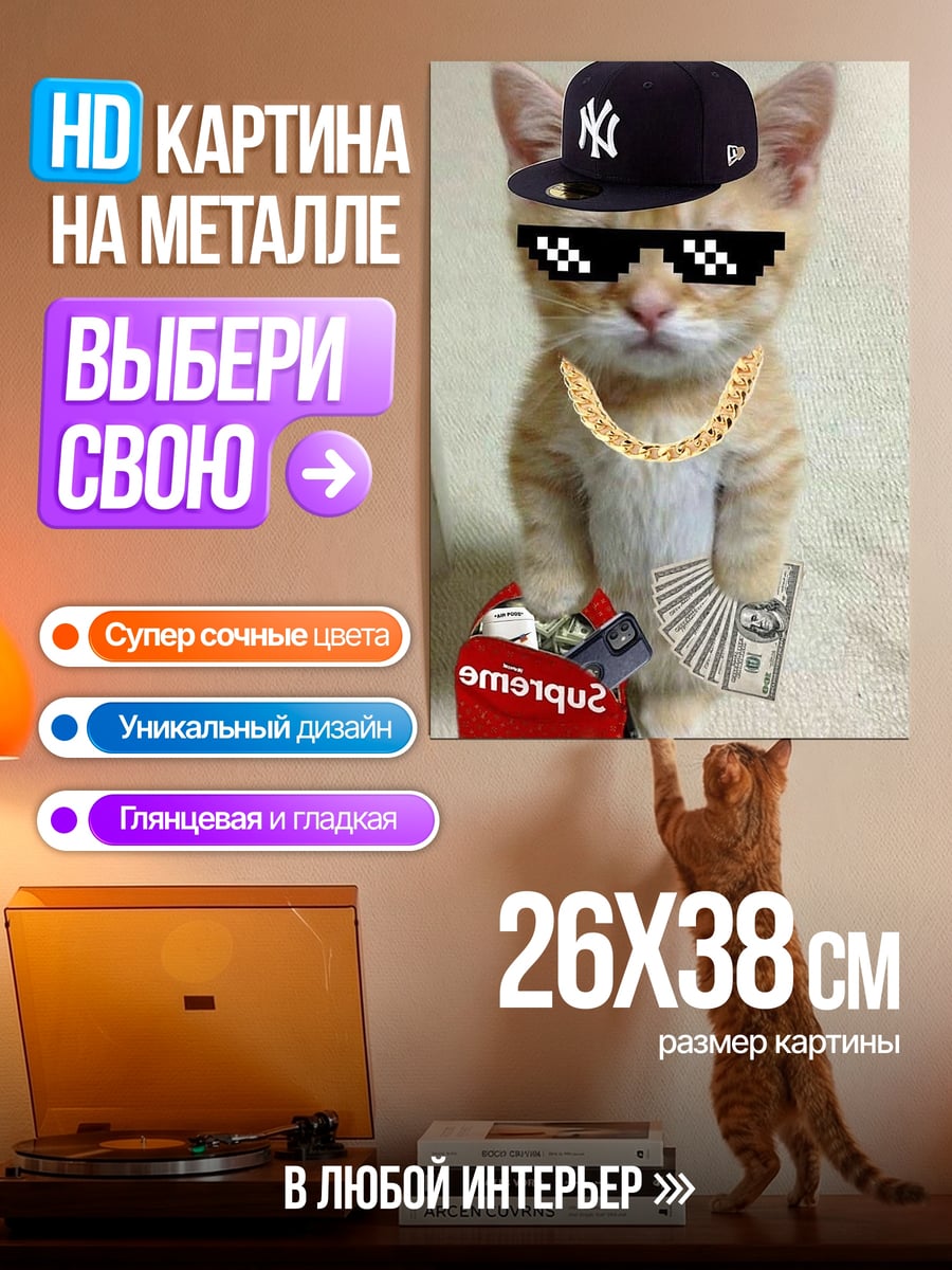Картина на металле Кот в очках