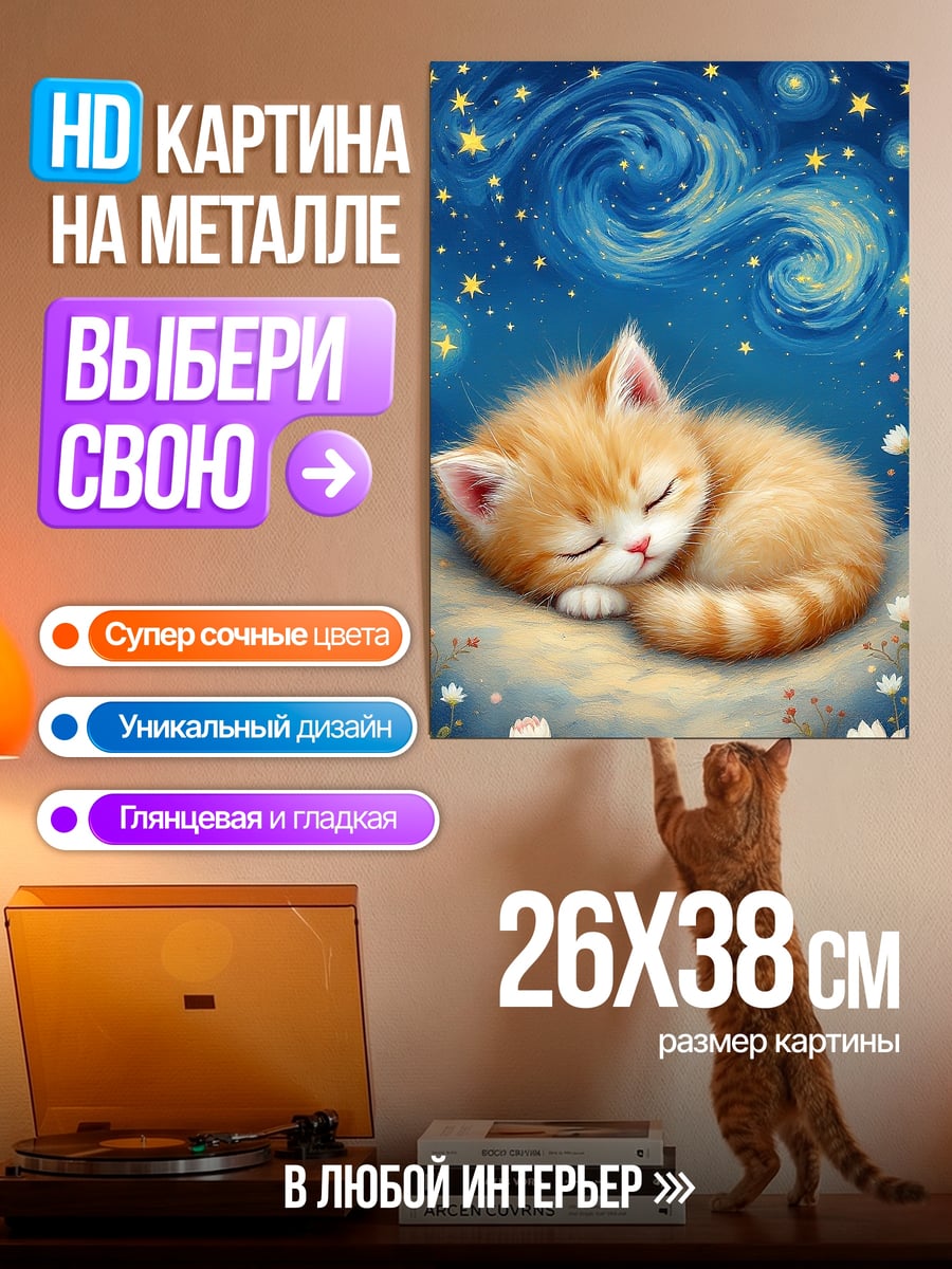 Картина на металле Спящий котенок под звездами