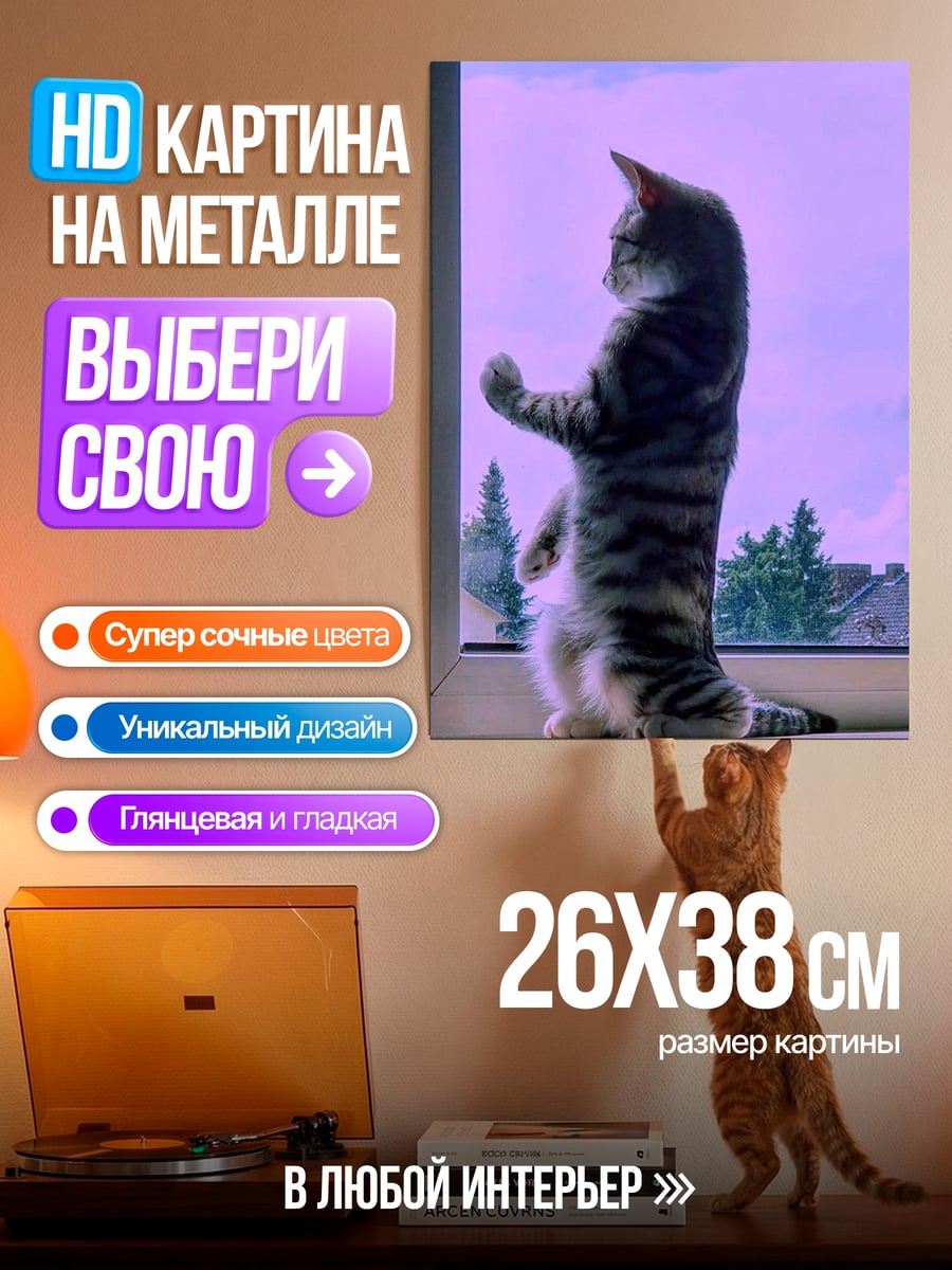Картина на металле Кот у окна