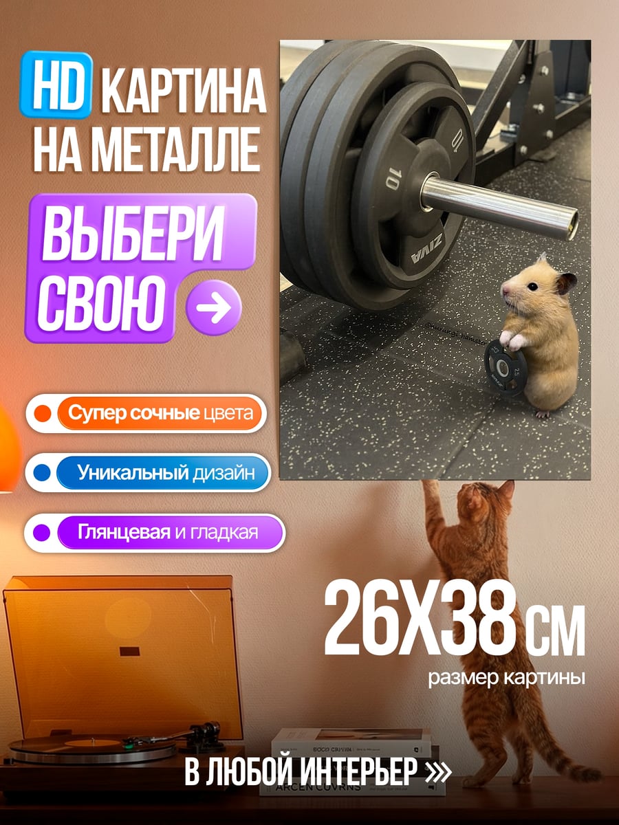 Картина на металле Хомяк с гантелей