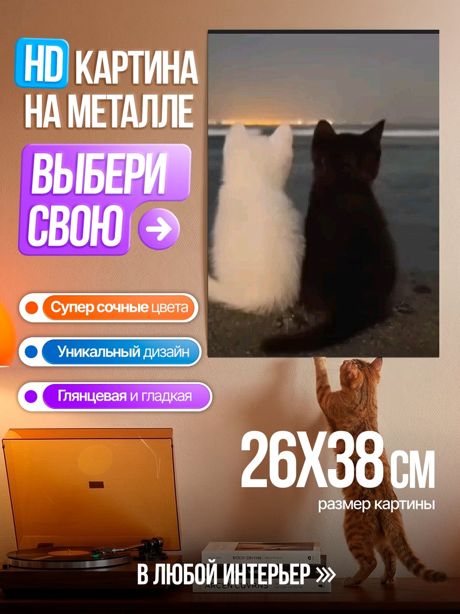 Картина на металле Два кота ночь