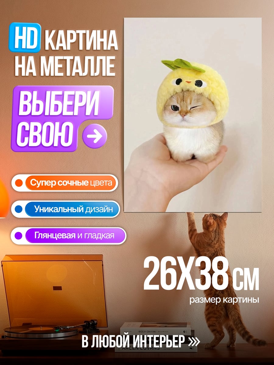 Картина на металле Кот в шапке