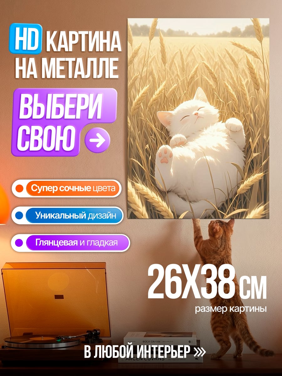 Картина на металле Белый котенок в поле