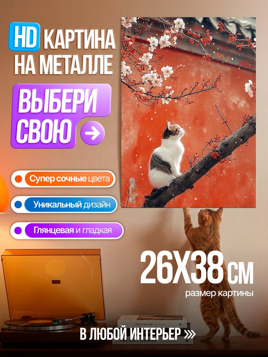 Картина на металле Кот на ветке сакуры