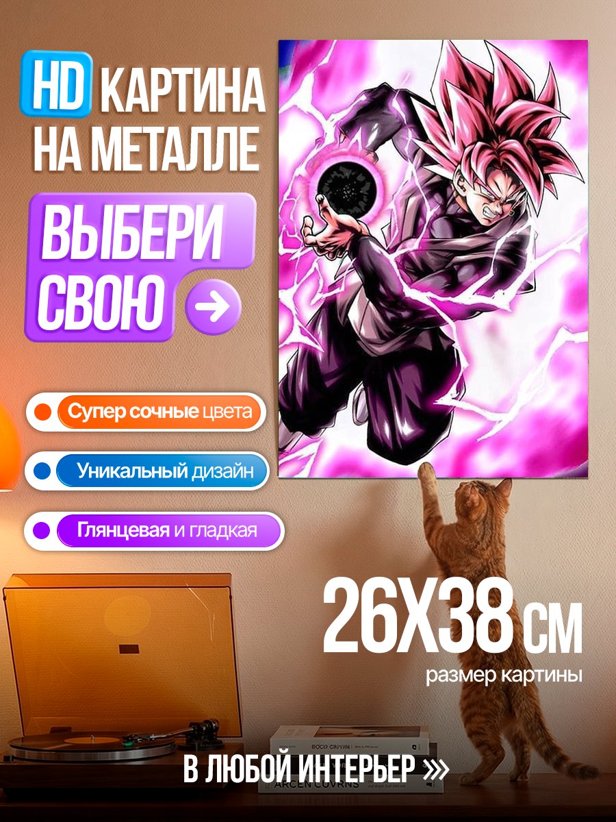 Картина на металле Гоку Блэк